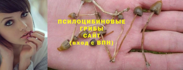 экстази Богородск
