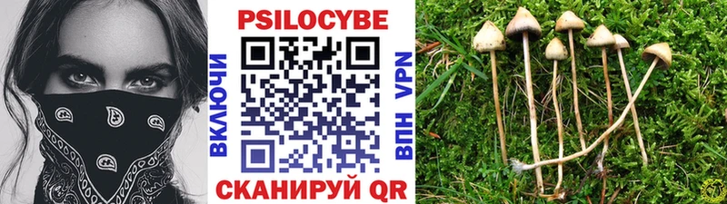 Купить где  Сясьстрой  Галлюциногенные грибы ЛСД 