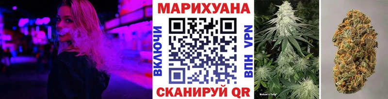 Бошки марихуана VHQ Сясьстрой