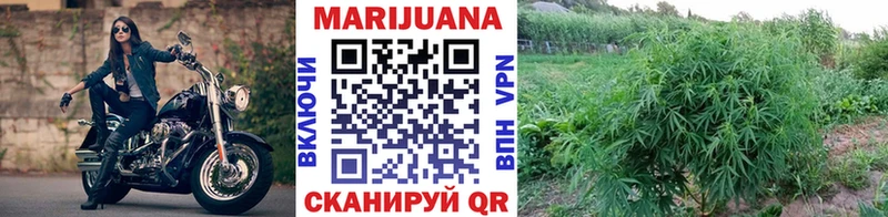 Купить  Сясьстрой  Канабис AK-47 